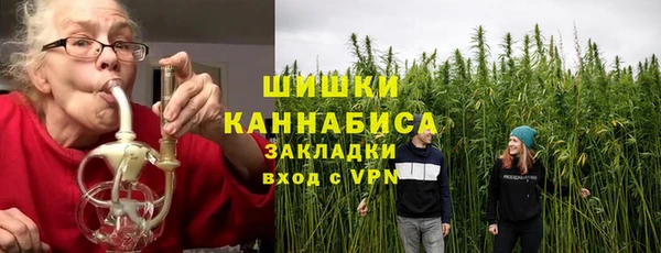 ПСИЛОЦИБИНОВЫЕ ГРИБЫ Елизово