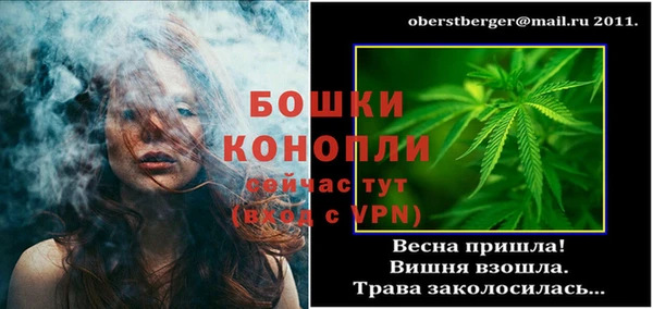 ПСИЛОЦИБИНОВЫЕ ГРИБЫ Елизово