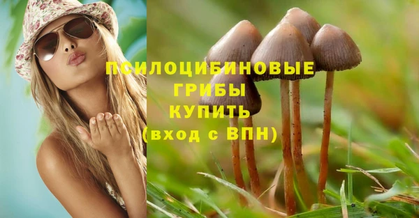 кристаллы Ельня