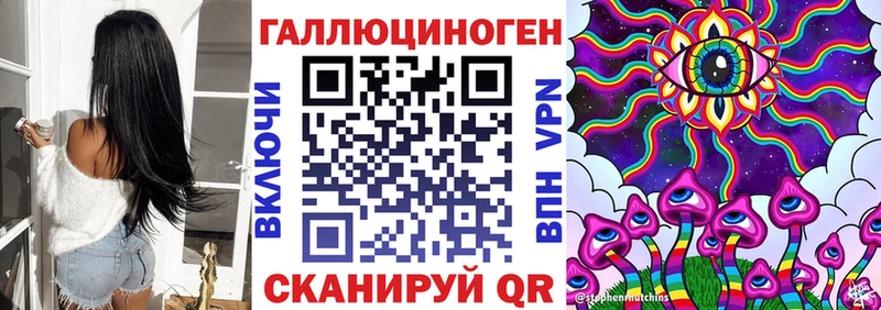 Купить где  Мураши  Псилоцибиновые грибы мицелий 